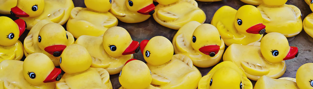 22nd-street-gem-show-duck-hunt